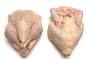 huhn