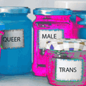 Love me Gender – Gender is Happening