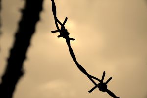 Abgrenzen mit Gewalt